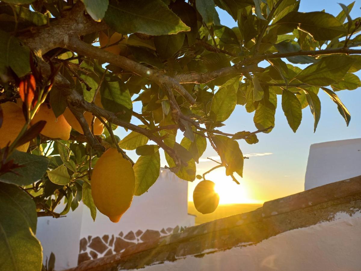 Casa Dona Antonia - Monsaraz Bed & Breakfast Bagian luar foto